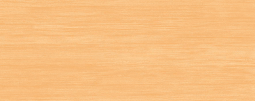 Керамическая плитка Cerrol Imperia Orange настенная 20x50
Керамическая плитка Cerrol Imperia Orange настенная 20x50