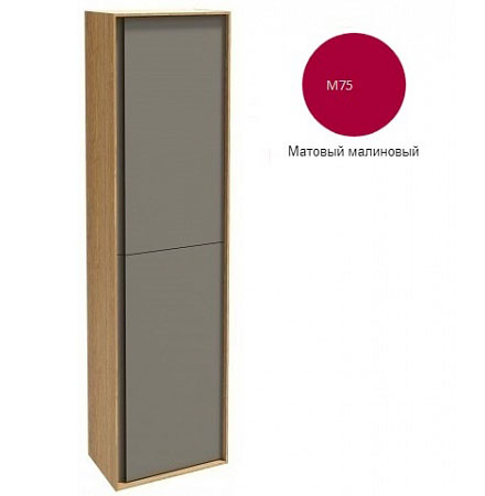 Шкаф-колонна Jacob Delafon Rythmik Pure 40х150 подвесной матовый малиновый EB1774D-M75
Шкаф-колонна Jacob Delafon Rythmik Pure 40х150 подвесной матовый малиновый EB1774D-M75