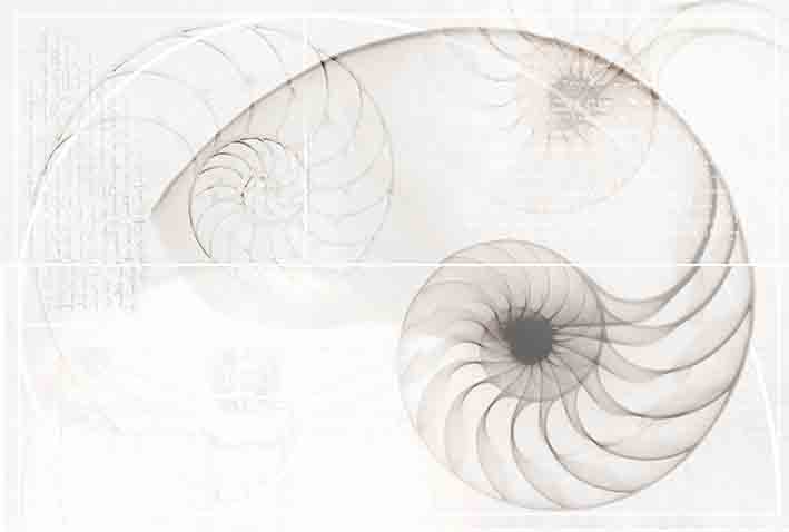 Керамическая плитка Cersanit Nautilus панно ракушка многоцветный (NT2O453DT) 39,6x59,8
Керамическая плитка Cersanit Nautilus панно ракушка многоцветный (NT2O453DT) 39,6x59,8