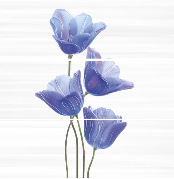 Керамическая плитка Ibero Groove Decor Ocoa Royal Blue A/B/C (компл. из 3-х шт) панно 75x75
Керамическая плитка Ibero Groove Decor Ocoa Royal Blue A/B/C (компл. из 3-х шт) панно 75x75
