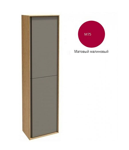 Шкаф-колонна Jacob Delafon Rythmik Pure 40х150 подвесной матовый малиновый EB1774G-M75
Шкаф-колонна Jacob Delafon Rythmik Pure 40х150 подвесной матовый малиновый EB1774G-M75
