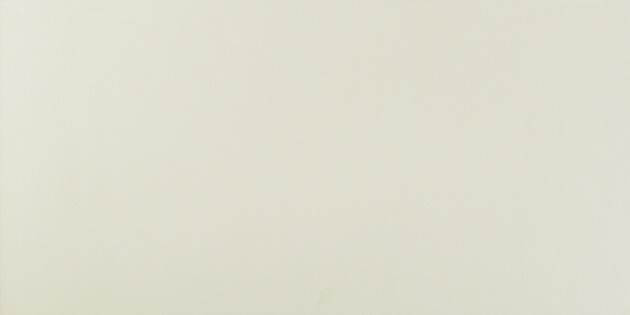 

Керамическая плитка Atlas Concorde Arkshade Light Clay 8AKL настенная 40x80