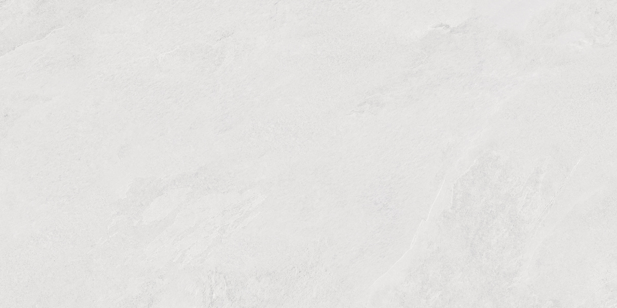 Керамогранит Laparet Porter Silver Pro светло-серый LP6012G0171R 59,5х119,1 матовый