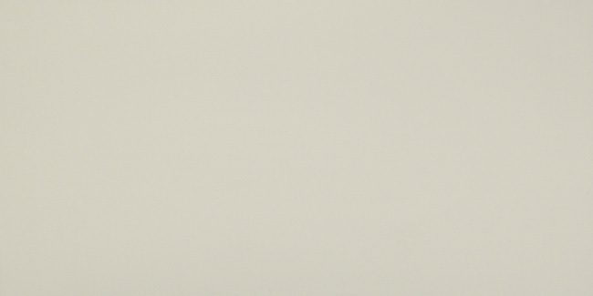 

Керамическая плитка Atlas Concorde 3D Wall Solid Sand Matt 8DSA настенная 40x80
