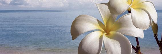 

Керамическая плитка Ibero Groove Decor Beach /B декор 25x75