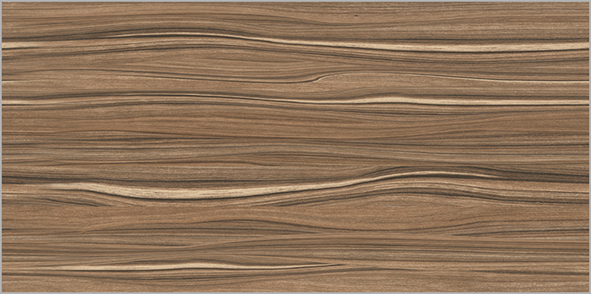 

Керамическая плитка Alma Ceramica Плессо настенная ПО9ПЛ424 50x24,9