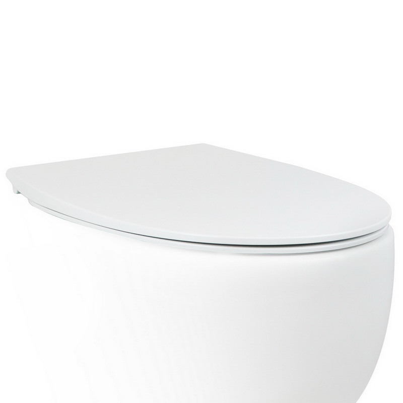 Крышка-сиденье AeT Dot 2.0 с микролифтом SoftClose C555R100