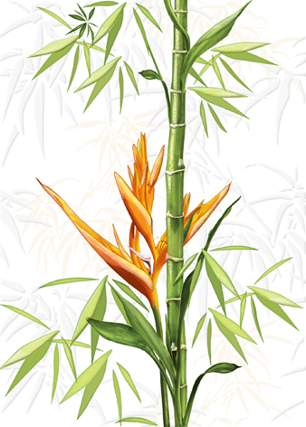 

Керамическая плитка Cersanit Jungle Декор белый (C-JU2M051) 25x35