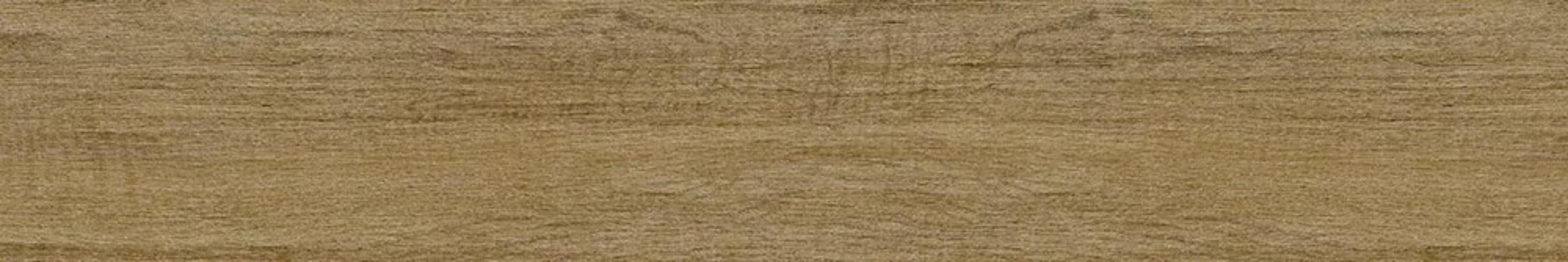 Керамогранит New Tiles Islandia Abedul 20x120