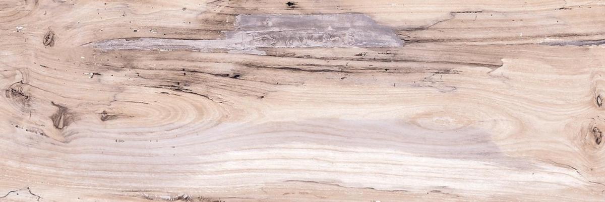 

Керамогранит Cersanit Antiquewood глаз, бежевый (C-AQ4M012D) 18,5x59,8