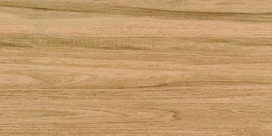 Керамогранит Bonaparte Greenwood Great Matt 60x120