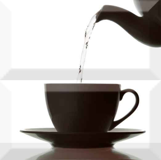 

Керамическая плитка Absolut Keramika Monocolor Composicion Japan Tea 02 Декор 20x20