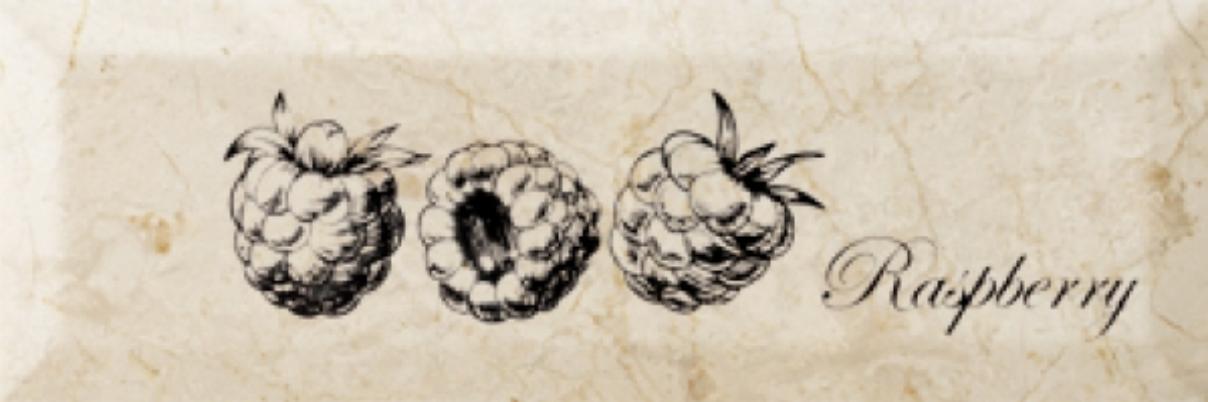 Керамическая плитка Monopole Fruit Mistral Raspberry декор 10x30