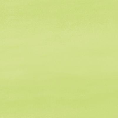 

Керамическая плитка Cerrol Porto pistacja напольная 33,3x33,3