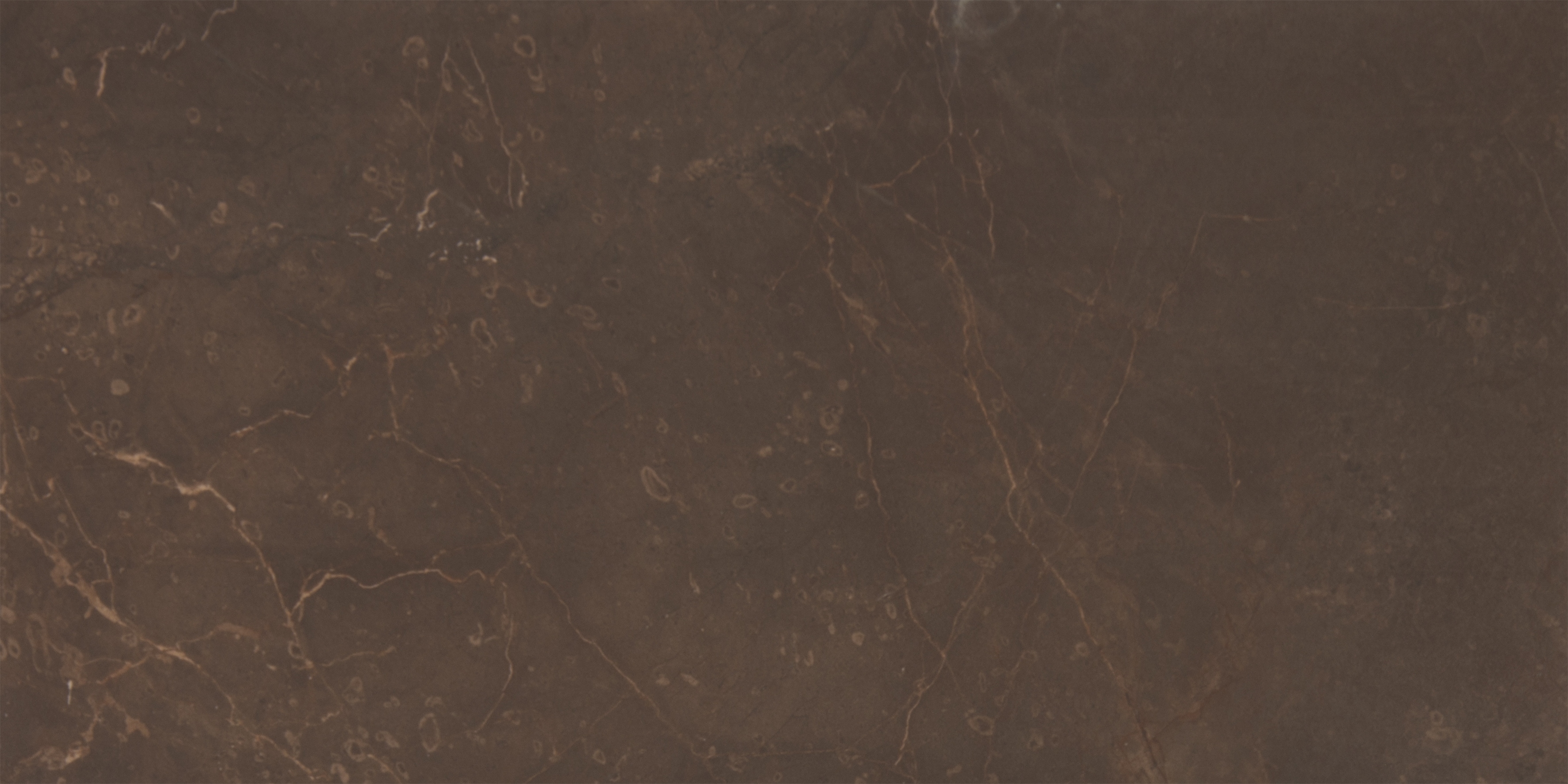 

Керамическая плитка AltaСera Ryan Marble Marron Настенная WT9MRB21 24,9х50