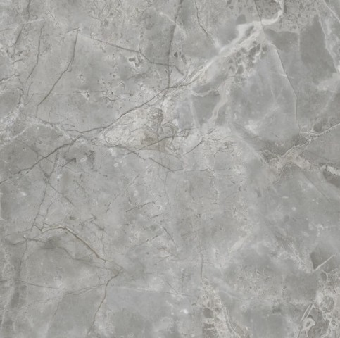 

Керамогранит Xlight Bosco C221100841 Grey Polished 120x120