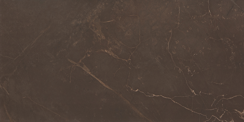 

Керамическая плитка AltaСera Flexion Marble Marron Настенная WT9MRB21 24,9х50