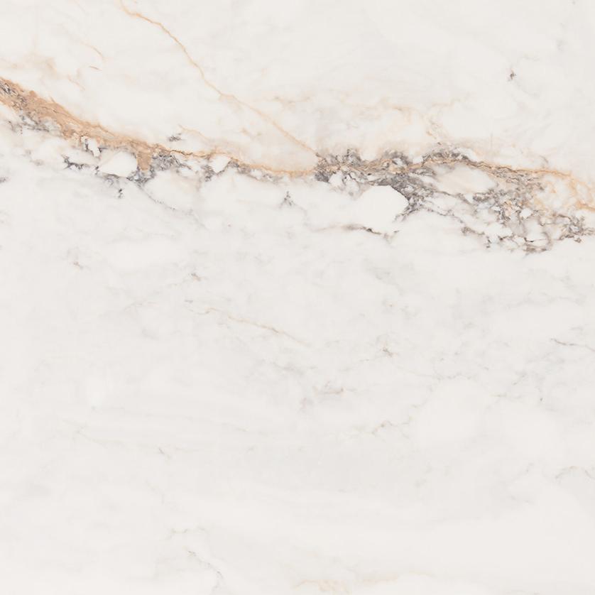 

Керамогранит Pamesa CR Pisa Gold (leviglass) 60х60