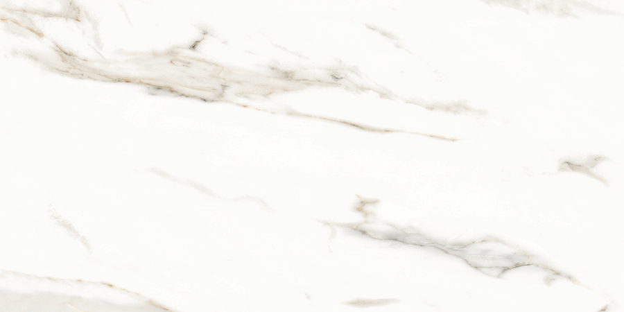 Керамогранит Neodom Splendida N12028 Marmol Carrara Polished 60x120