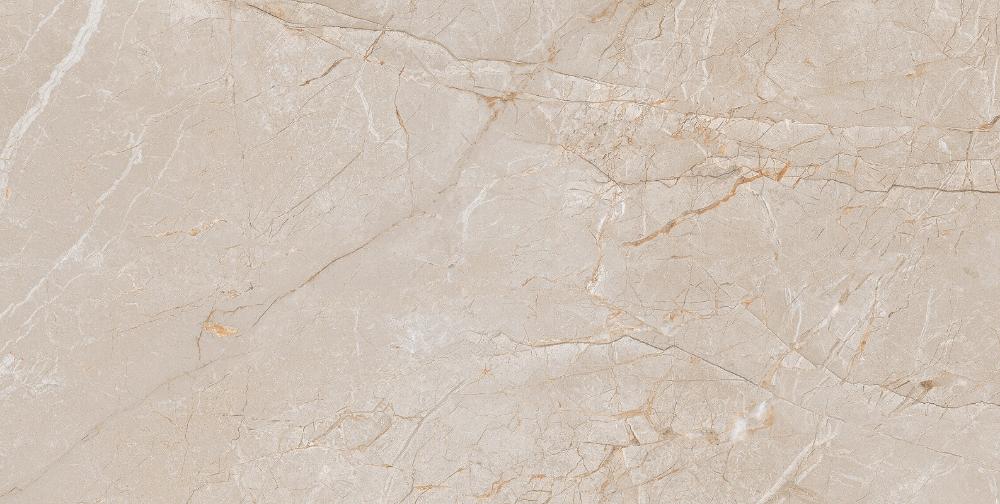 Керамогранит A-Ceramica Eco MR-12059 Matt 60x120