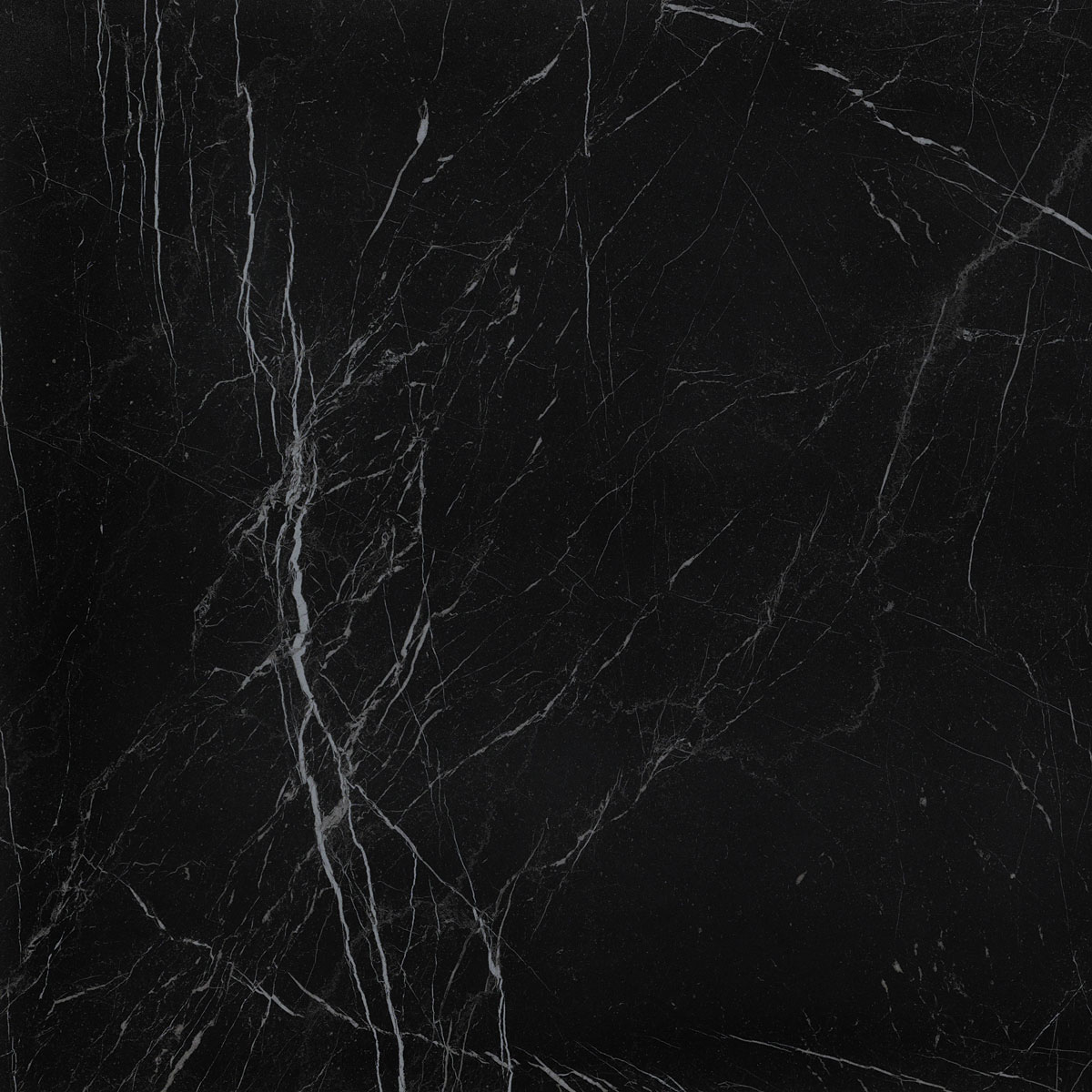 

Керамогранит Fap Roma Diamond Nero Reale Brillante (FNEU) 60x60
