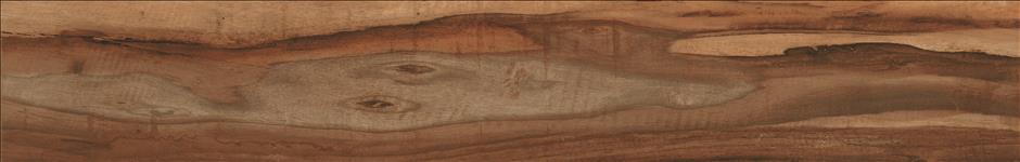 

Керамогранит STN Ceramica Dreamwood Viejo 15х90