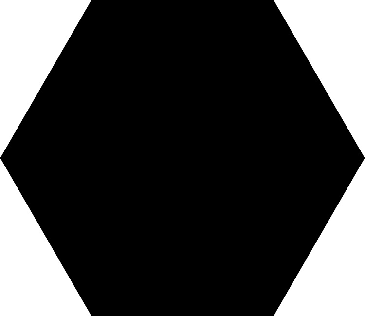 

Керамогранит Codicer Basic Hex Black 25х22