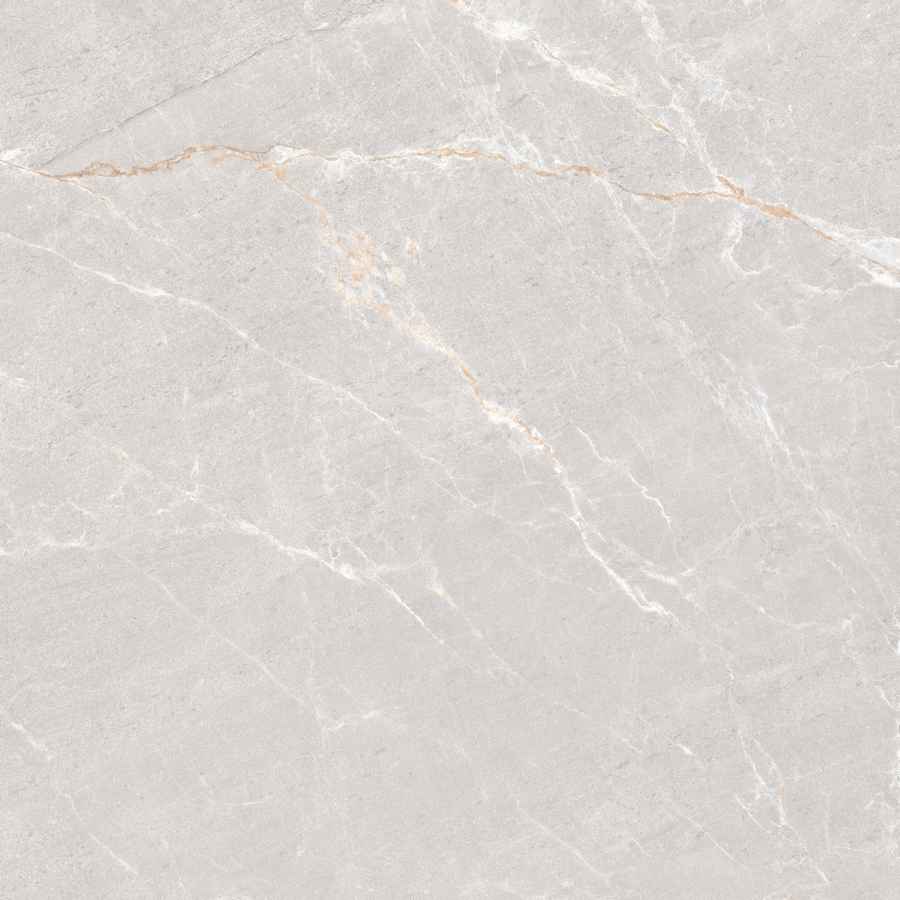 Керамогранит Neodom Stone N20516 Persian Grey 120x120