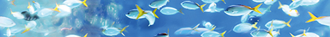 

Керамическая плитка Ceramica Classic Family Бордюр B400-1D228 40х4,5