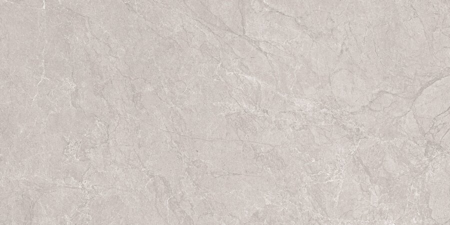 Керамогранит Neodom Techno Matt N20497 Aristo Grey 80x160