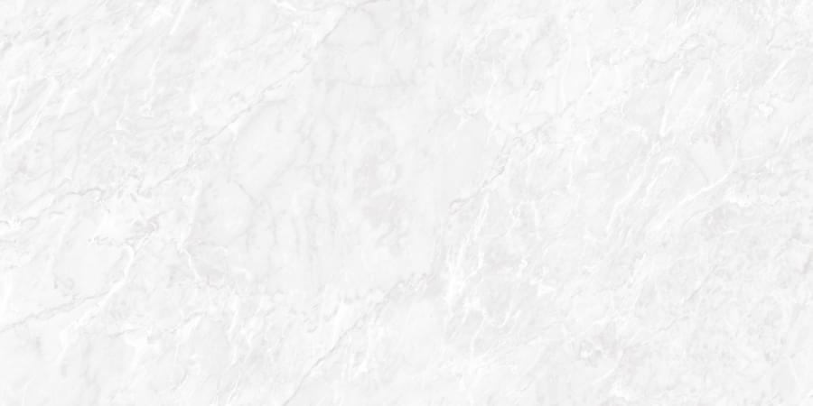 Керамогранит Neodom Marble N20481 Carrara Pearl Polished 60x120