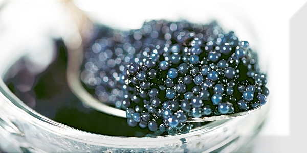 

Керамическая плитка Absolut Keramika Monocolor Decor Black Caviar 03 Декор 10x20