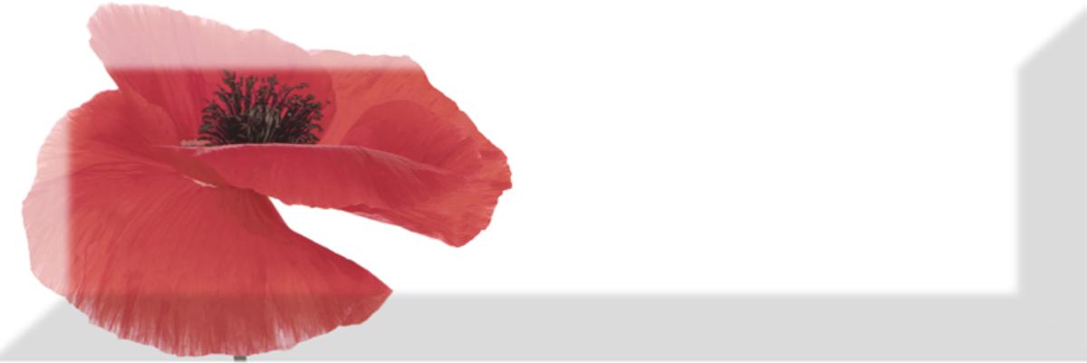 

Керамическая плитка Absolut Keramika Decor Poppy 01 декор 10x30