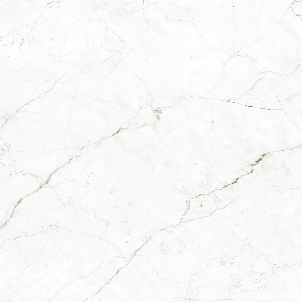 Керамогранит Maimoon Ceramica Carving Perlato Royal Bianco 60x60