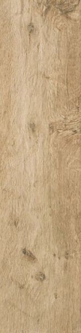 

Керамогранит Atlas Concorde Axi Golden Oak AS3C 22,5x90