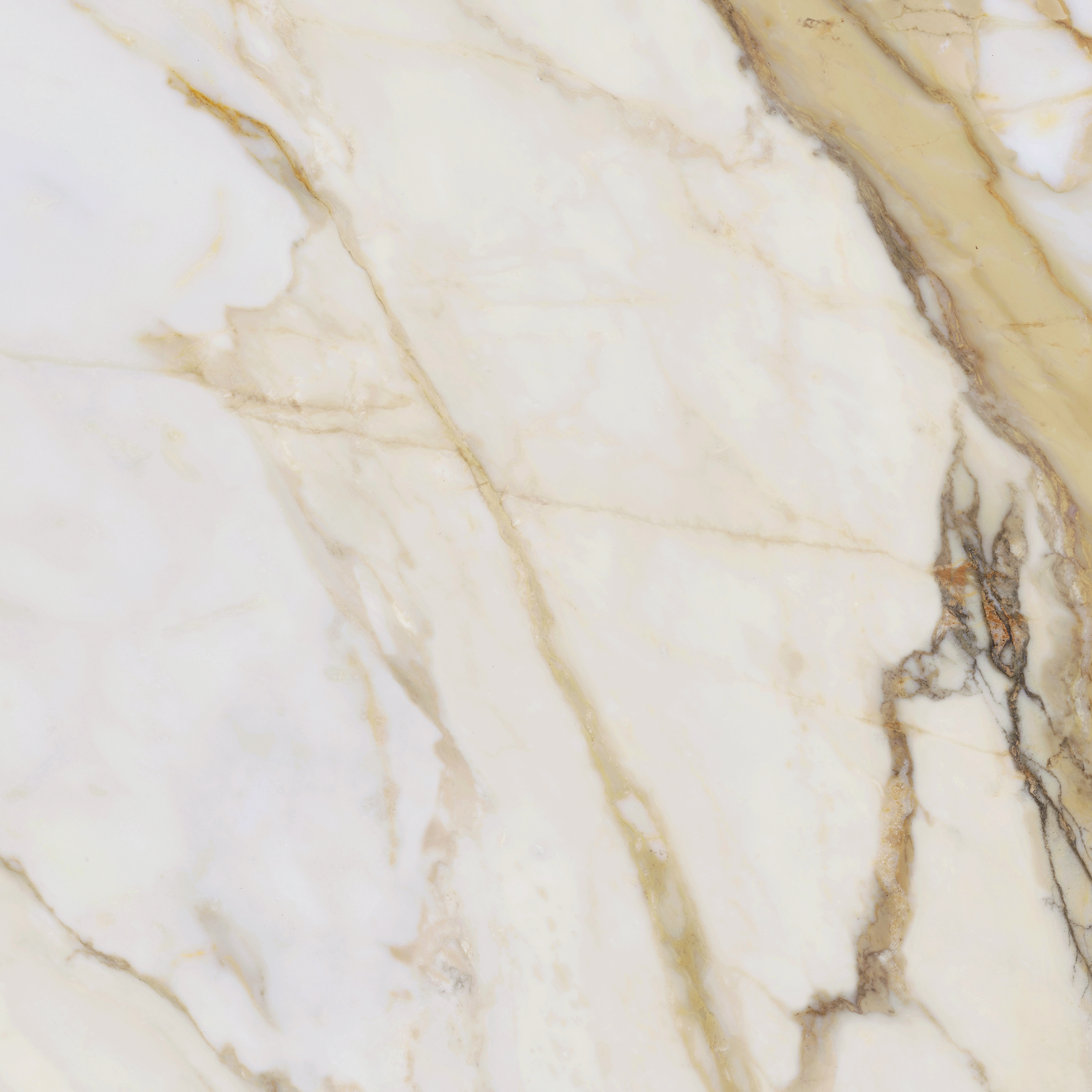 

Керамогранит Argenta Midas 60x60