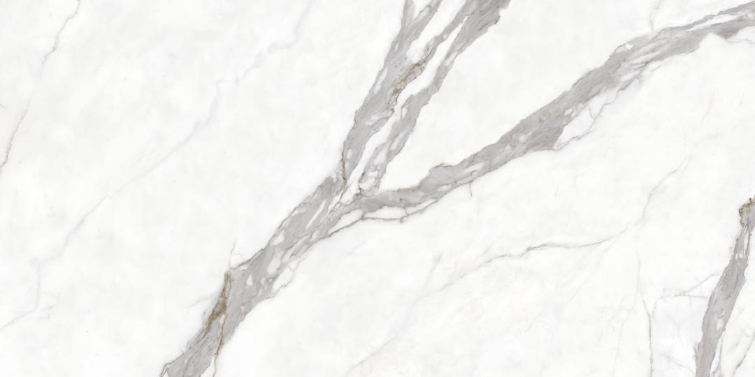 Керамогранит Protiles Calacatta 60х120