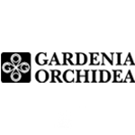Gardenia Orchidea