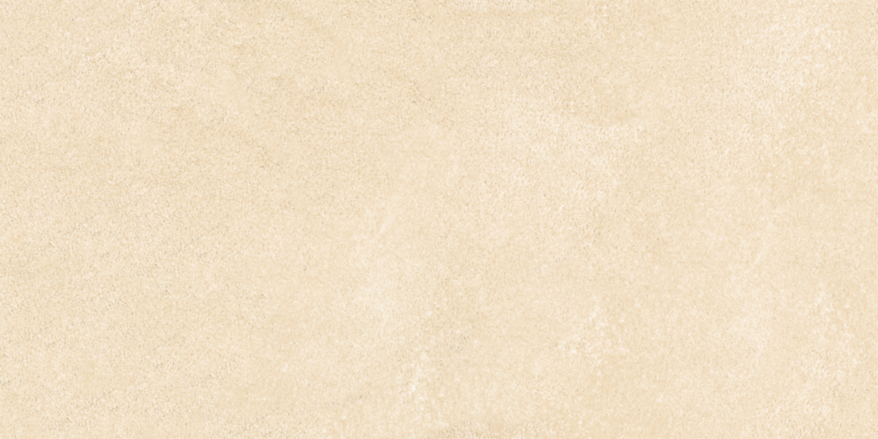 

Керамическая плитка AltaСera Petra Beige WT9PET11 настенная 24,9х50