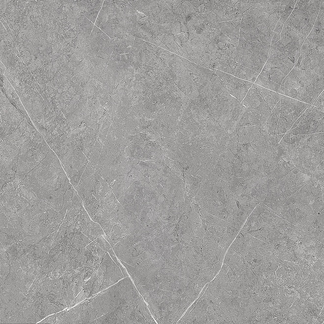 

Керамогранит Kerama Marazzi Вомеро Серый lap. SG452702R 50,2x50,2