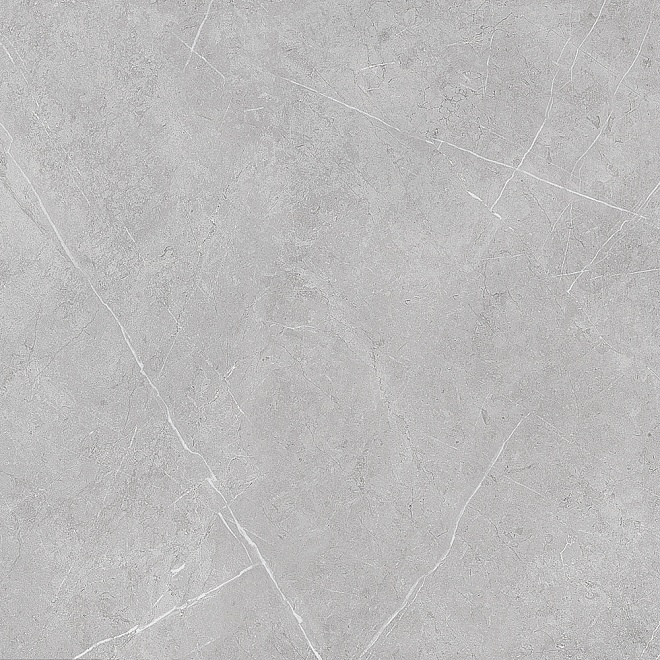 

Керамогранит Kerama Marazzi Вомеро Серый светлый lap. SG452602R 50,2x50,2