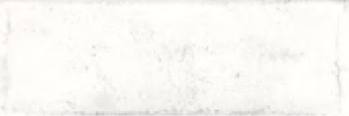 

Керамическая плитка Fabresa Arles Snow настенная 10x30