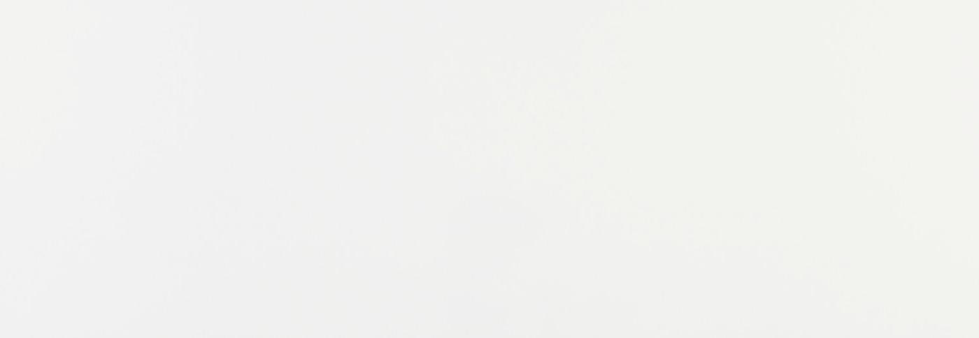 

Керамическая плитка Azulev Luminor Mate SlimRect Blanco настенная 29х89