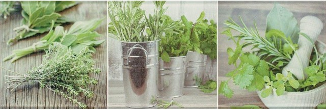 

Керамическая плитка Ceramika Konskie Salerno glass kitchen 1 Декор 20x60