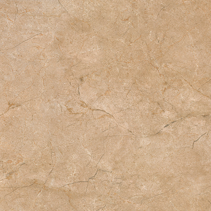 

Керамогранит Alma Ceramica Palermo GFU04PLR40R 60х60