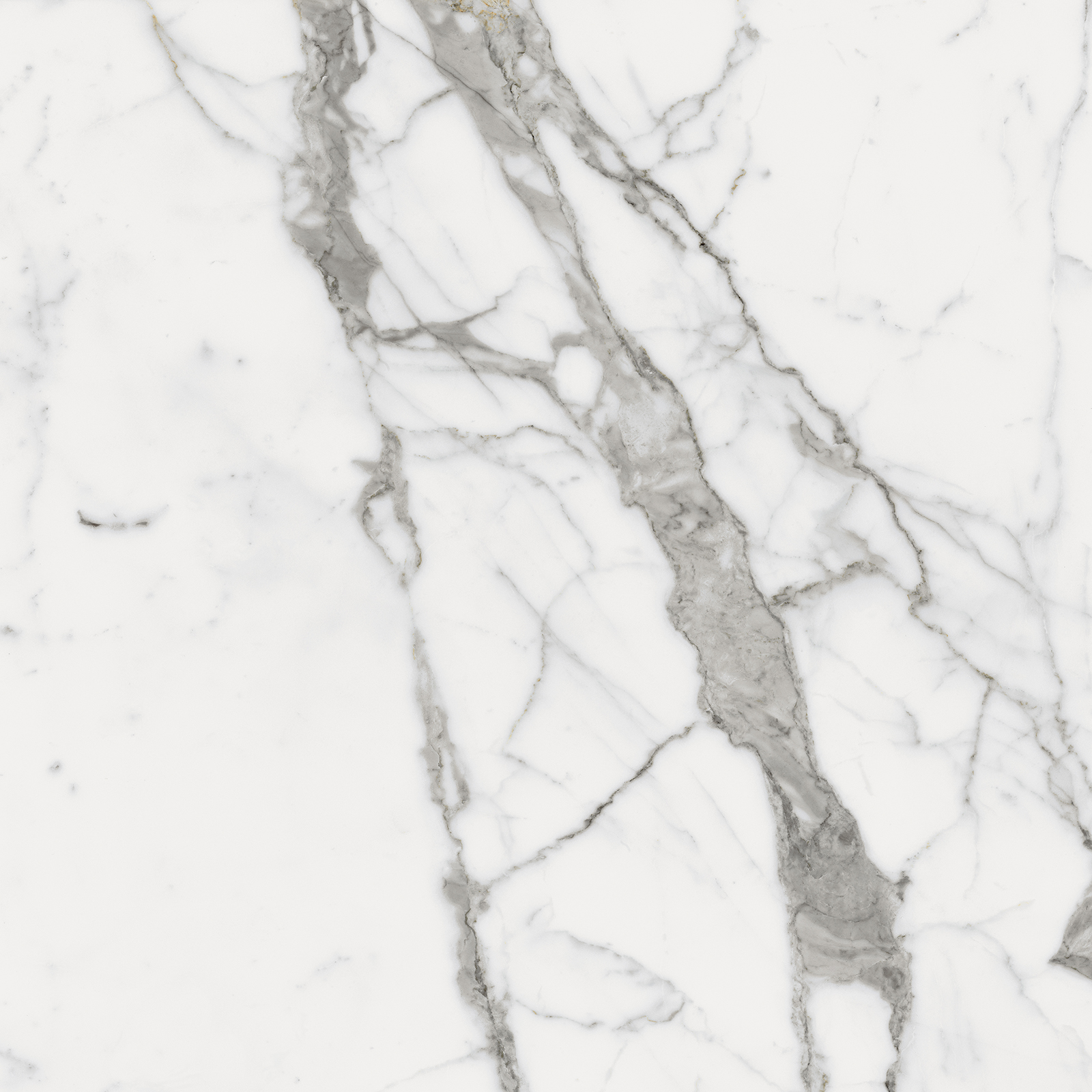 

Керамогранит Италон Charme Evo Statuario Nat Ret (610010001678) 80х80