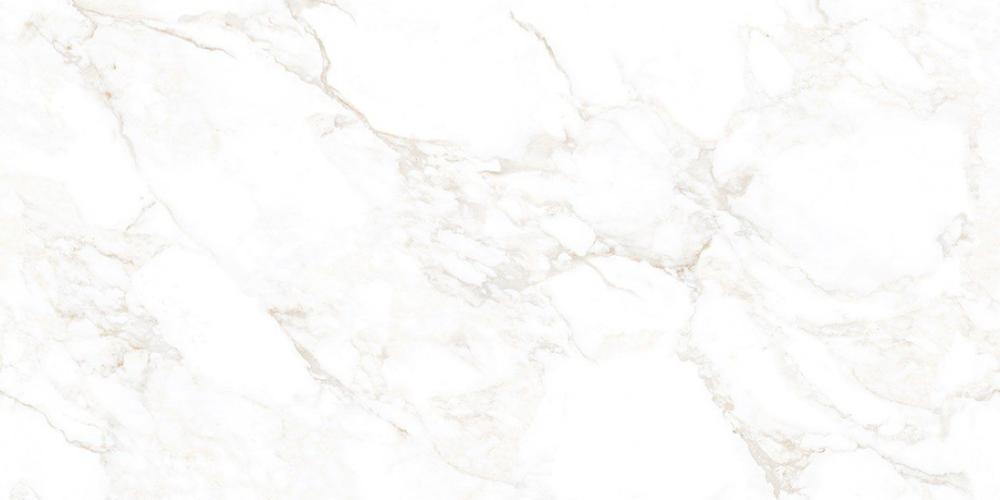 Керамогранит NT Ceramic Marmo NTT99526M Marble Extra Endless 60x120