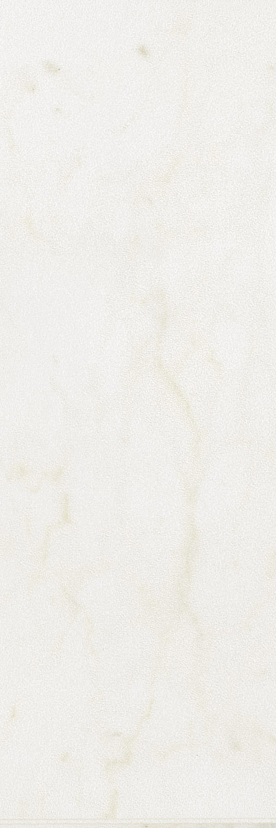 

Керамическая плитка Италон Charme Wall Project Pearl (600010000415) Настенная 25x75