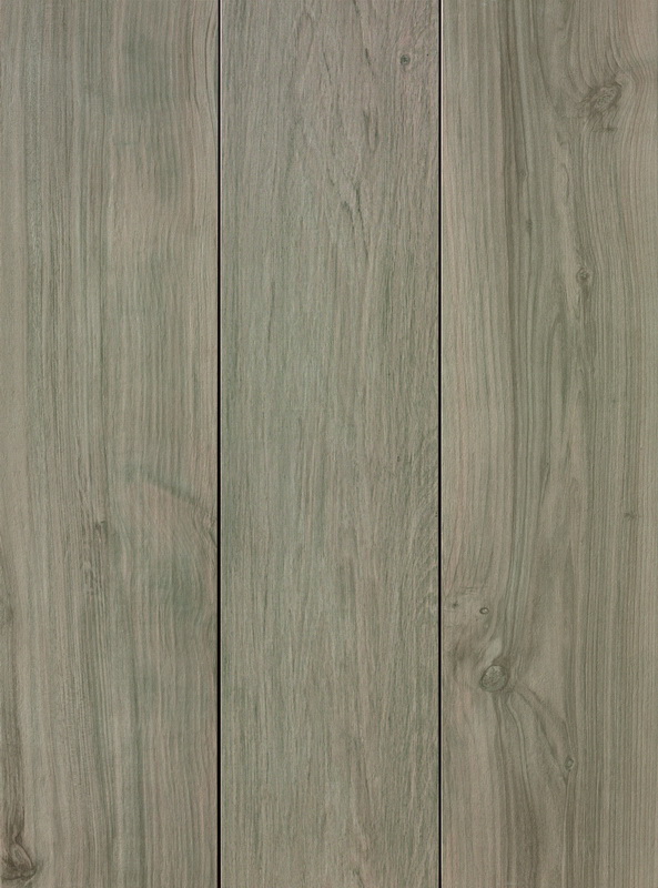 

Керамогранит Atlas Concorde Etic Rovere Grigio (AJ8H) 22,5x90