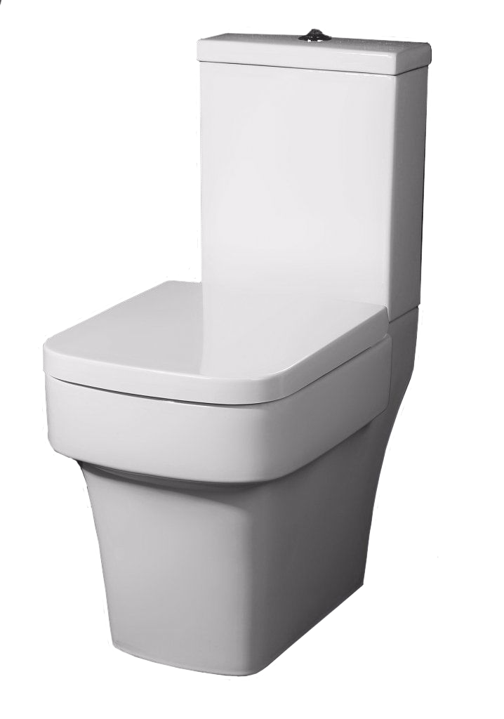 

Чаша унитаза напольного BelBagno Janice P-trap BB124CP